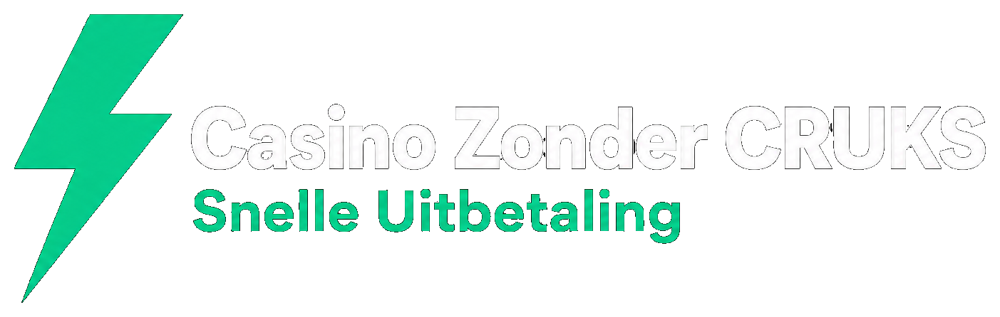 bijlin-studiebegeleiding.nl